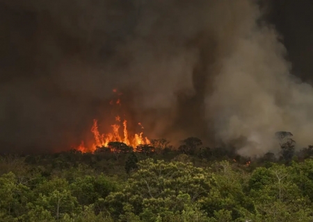Brasil perdeu 111,7 milhões de hectares de áreas naturais em 40 anos
