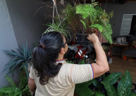 MS registra 7.778 casos confirmados de dengue e 17 mortes em 2025