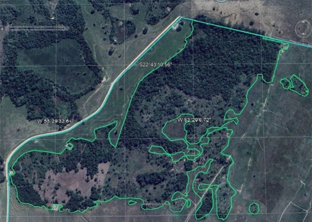 Ministério Público investiga desmatamento ilegal de Mata Atlântica em Taquarussu