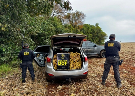 Carga de maconha avaliada em R$ 1,8 milhão é apreendida pelo DOF em Ponta Porã