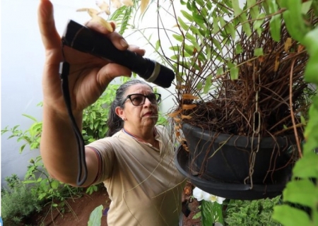 Mato Grosso do Sul registra mais de 13 mil casos de dengue e 17 mortes em 2025