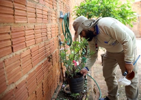 Mato Grosso do Sul registra mais de 13 mil casos prováveis de dengue em 2025