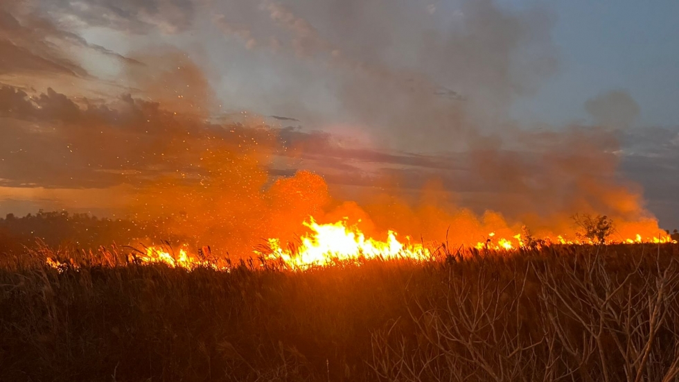 Incêndio atinge 12 hectares em fazenda de Batayporã e mobiliza Corpo de Bombeiros Militar