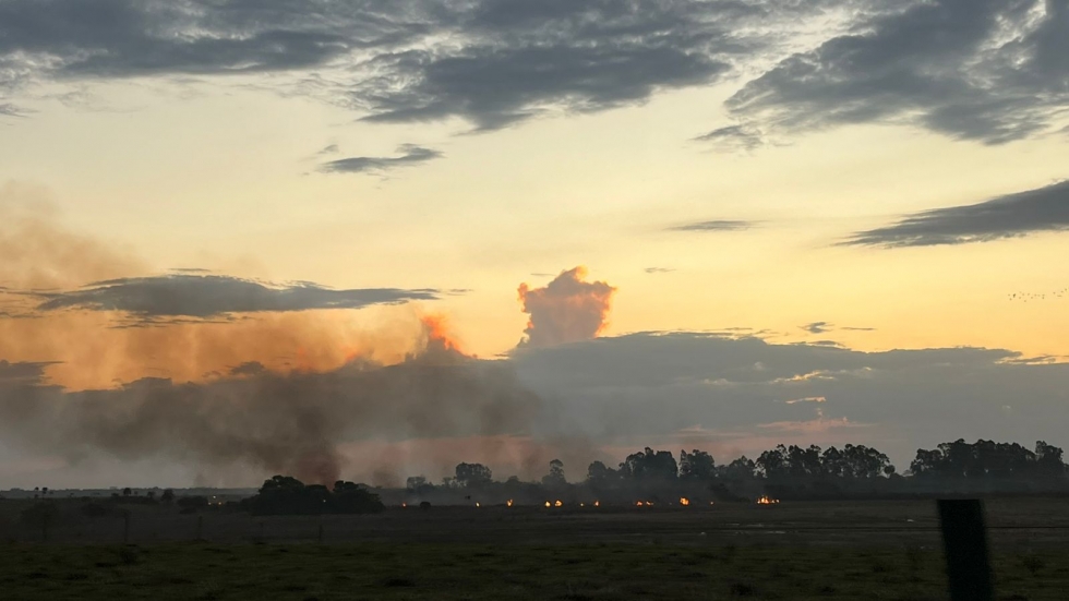 Incêndio atinge 12 hectares em fazenda de Batayporã e mobiliza Corpo de Bombeiros Militar