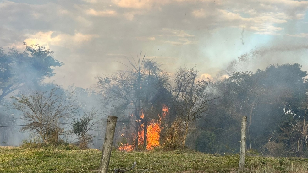 Incêndio atinge 12 hectares em fazenda de Batayporã e mobiliza Corpo de Bombeiros Militar