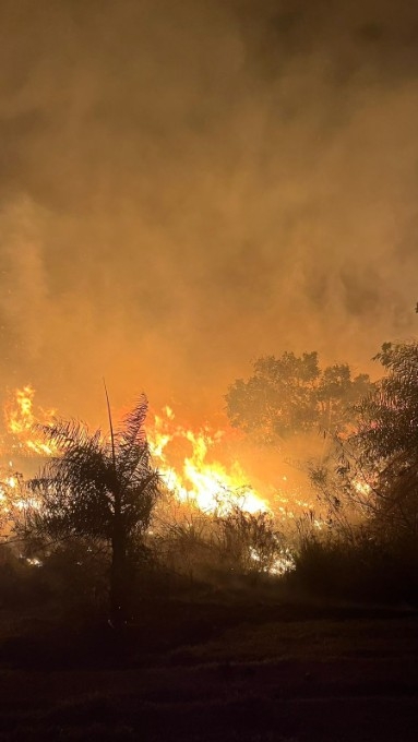 Incêndio atinge 12 hectares em fazenda de Batayporã e mobiliza Corpo de Bombeiros Militar