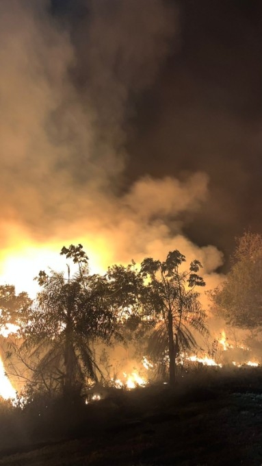 Incêndio atinge 12 hectares em fazenda de Batayporã e mobiliza Corpo de Bombeiros Militar