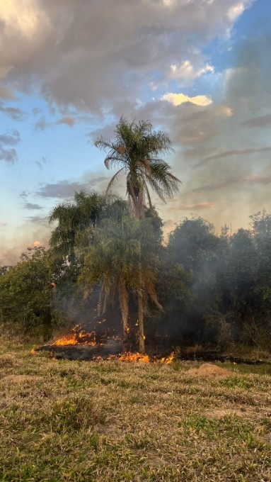 Incêndio atinge 12 hectares em fazenda de Batayporã e mobiliza Corpo de Bombeiros Militar