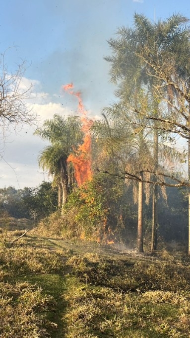 Incêndio atinge 12 hectares em fazenda de Batayporã e mobiliza Corpo de Bombeiros Militar