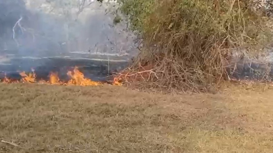 Incêndio em propriedade rural mobiliza Sademat e Corpo de Bombeiros em Batayporã