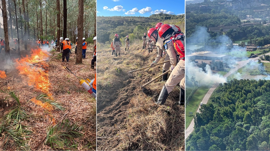 Incêndios florestais caem 50% em agosto no Paraná, mas tempo seco em setembro aumenta o risco