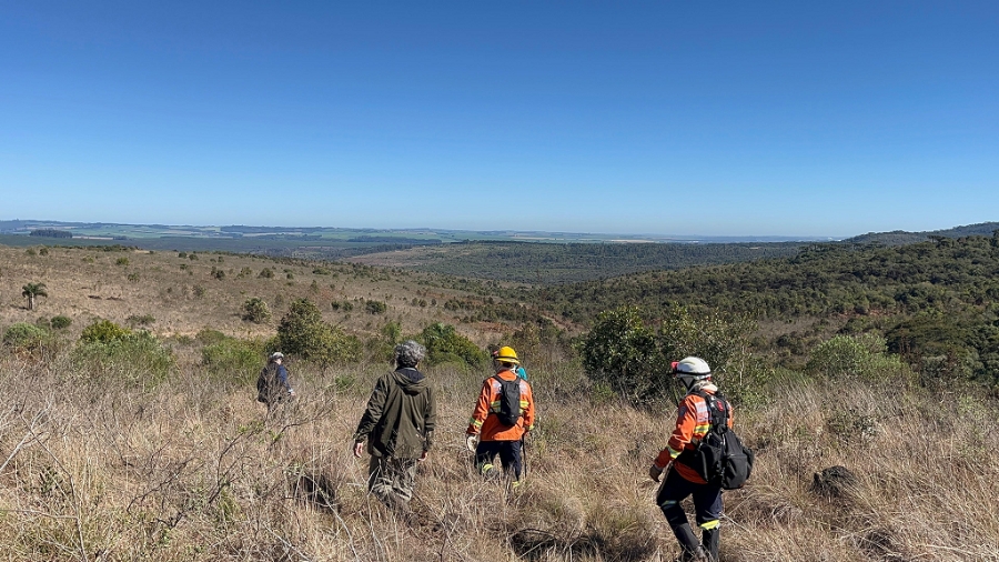 Incêndios florestais caem 50% em agosto no Paraná, mas tempo seco em setembro aumenta o risco