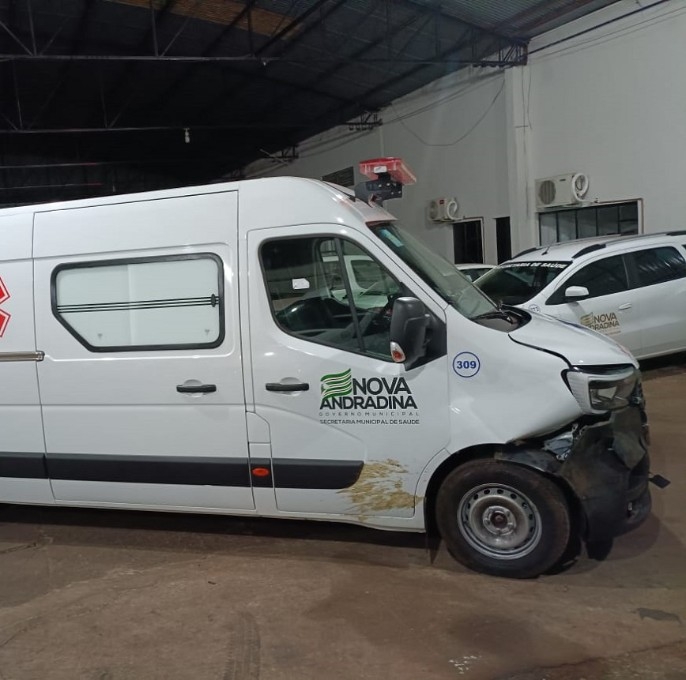 Ambulância atinge animal silvestre e mulher fica ferida na MS-134 em Nova Andradina; animal morreu