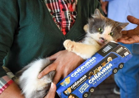 Caravana da Castração chega a Batayporã em outubro com mutirão gratuito para cães e gatos