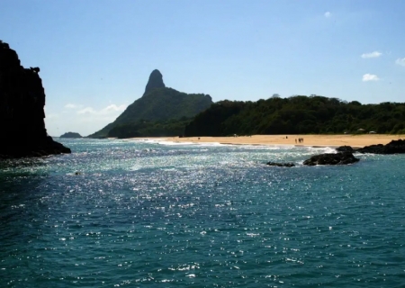 Ilhas brasileiras: estudo revela presença de espécies exclusivas