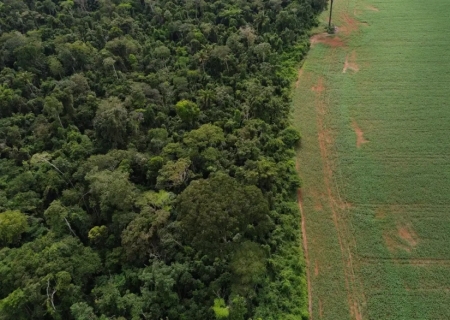 Brasil apresenta soluções de financiamento climático em Nova York