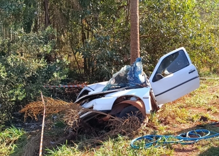 Carro com placas de Nova Andradina bate em coqueiro e deixa um morto e outro ferido em Deodápolis