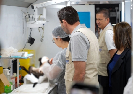 Caravana de Castração transforma Nova Andradina em referência na saúde animal