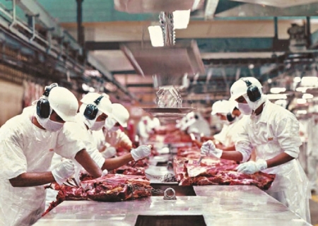 Exportações de MS somam US$ 7,24 bilhões até agosto; carne bovina cresce 43,7% no ano