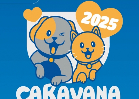 Procedimentos da Caravana de Castração serão mediante agendamento e triagem