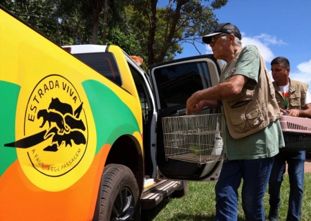 Vereador Josenildo Ceará reforça pedido para que MS-473 integre o programa Estrada Viva