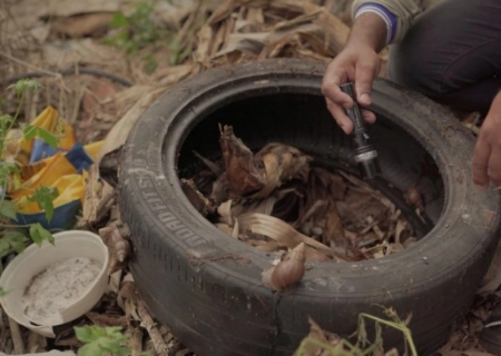 Mato Grosso do Sul registra mais de 13 mil casos prováveis de dengue em 2025