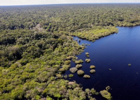 Amazônia e Cerrado registram queda de 11% no desmatamento