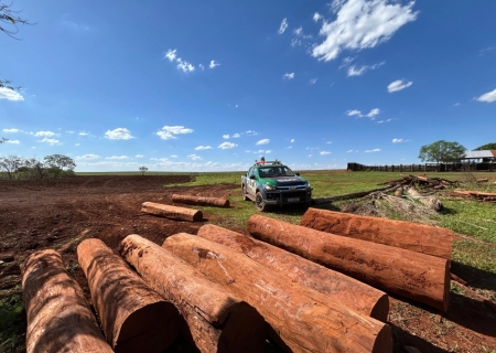 PMA flagra desmatamento em Reserva Legal e aplica multa de R$ 5 mil em Maracaju