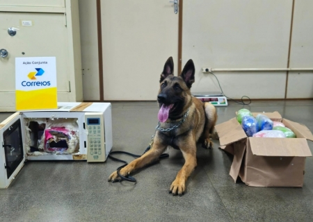 DENAR e Correios interceptam 21 kg de drogas na Capital