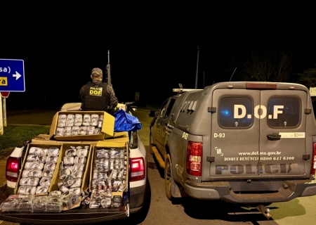 DOF apreende quase 100 quilos de haxixe e prende mulher em Naviraí