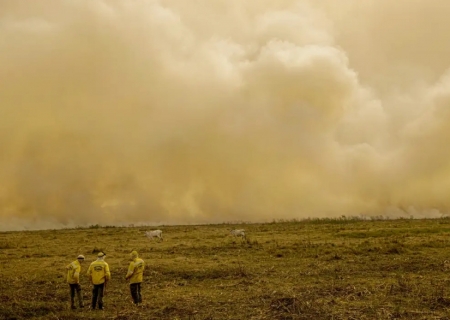 Calor já mata meio milhão de pessoas por ano, alertam cientistas