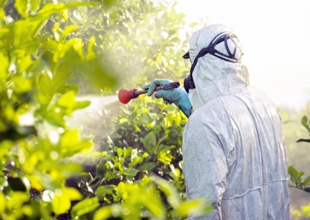 Em Caarapó, MPE apura denúncias de contaminação por agrotóxicos em comunidade indígena Guarani Kaiowá