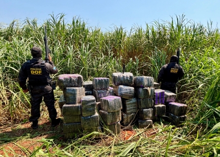 DOF apreende mais de R$ 5,5 milhões em drogas escondidas em área de mata em Itaquiraí