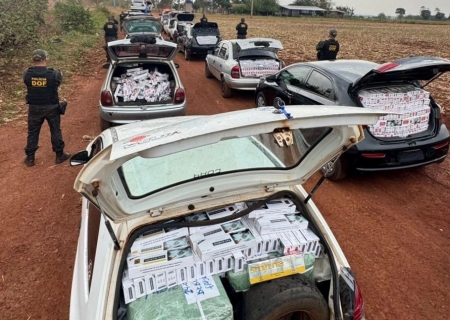 Operação do DOF em Ponta Porã apreende contrabando avaliado em R$ 1,4 milhão e prende 14 pessoas
