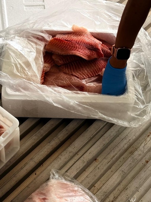 Polícia apreende 5 toneladas de pescado irregular durante operação em Campo Grande