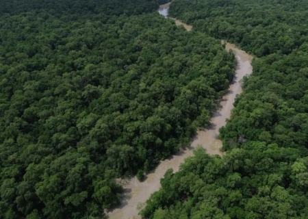 Quase metade da Amazônia Legal é composta por áreas protegidas, aponta IBGE