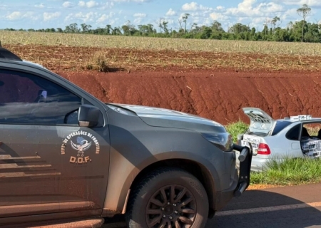 Veículo carregado com cigarros é apreendido pelo DOF após cair em barranco