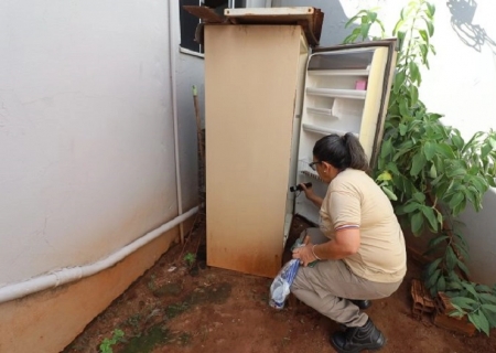 MS ultrapassa 13,5 mil casos prováveis de dengue em 2025; Estado confirma 18 mortes e monitora outras 7