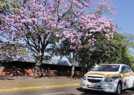 Instrutor de Deodápolis é eleito o melhor do ano pelo Detran-MS na categoria B