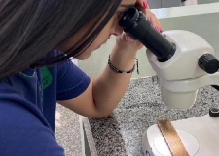 Escola Nair Palácio conquista 1º lugar em Ciências da Saúde na Fetec/MS