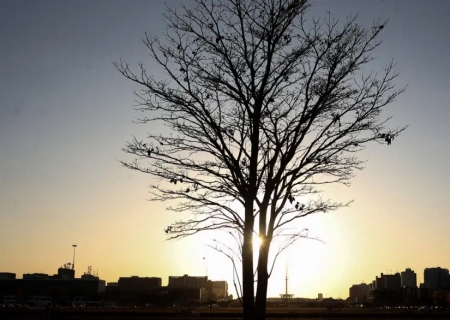 COP30 reforça urgência em conter aquecimento global e aproximar ciência da sociedade