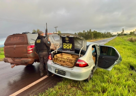 Traficante abandona carro com mais de uma tonelada de maconha em Ponta Porã