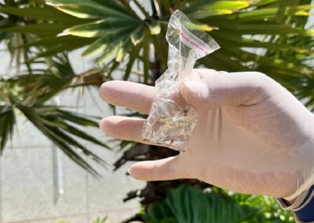 MS registra 8.372 casos confirmados de dengue