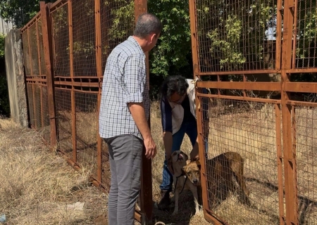 CCZ resgata tres cães em situação de maus-tratos em Nova Andradina