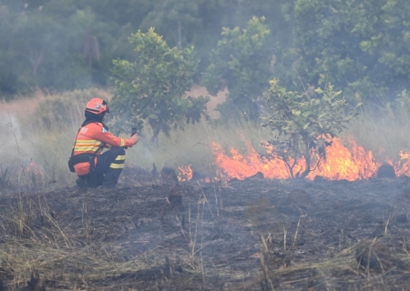 Operação Pantanal 2025 registra redução histórica de incêndios em MS