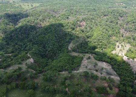 MPE apura incêndio irregular que atingiu mais de 112 hectares em áreas protegidas em Bonito