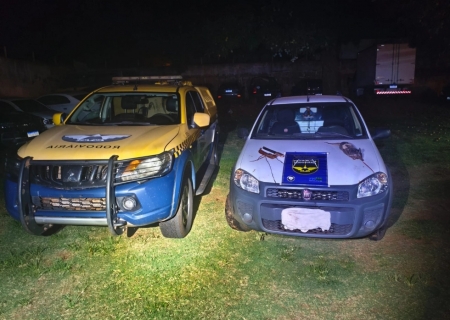 Veículo abandonado com animal silvestre abatido é apreendido em Anaurilândia