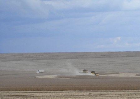 Campanha denuncia agronegócio por contaminações com uso de agrotóxicos