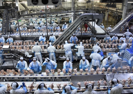 Exportações de industrializados de MS alcançou em novembro US$ 592,9 milhões