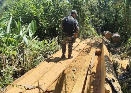 Polícia Ambiental apreende madeira ilegal em área de reserva legal durante operação em Itaquiraí